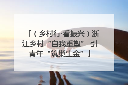 （乡村行·看振兴）浙江乡村“自我重塑” 引青年“筑巢生金”