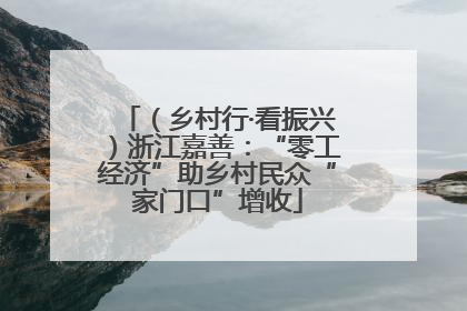 （乡村行·看振兴）浙江嘉善：“零工经济”助乡村民众“家门口”增收