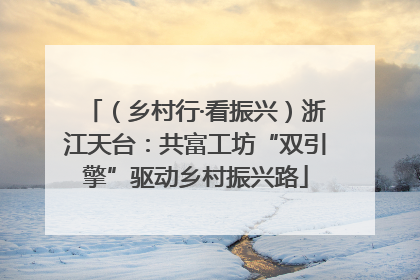 （乡村行·看振兴）浙江天台：共富工坊“双引擎”驱动乡村振兴路