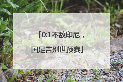 0:1不敌印尼，国足告别世预赛