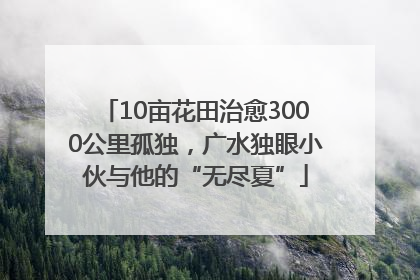10亩花田治愈3000公里孤独，广水独眼小伙与他的“无尽夏”