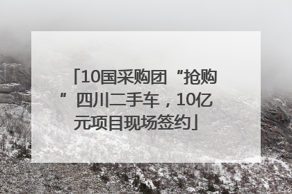 10国采购团“抢购”四川二手车，10亿元项目现场签约