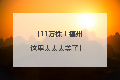 11万株！福州这里太太太美了