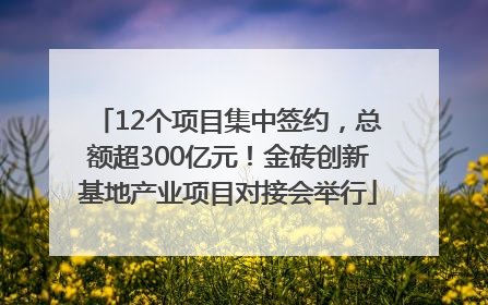 12个项目集中签约，总额超300亿元！金砖创新基地产业项目对接会举行