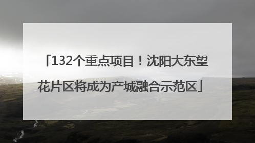 132个重点项目！沈阳大东望花片区将成为产城融合示范区