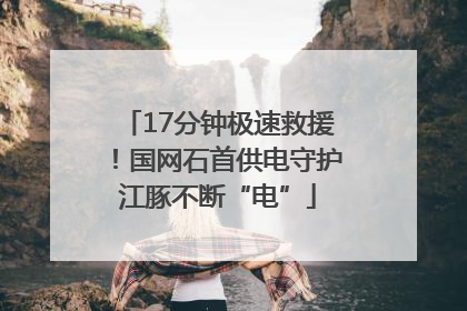 17分钟极速救援！国网石首供电守护江豚不断“电”