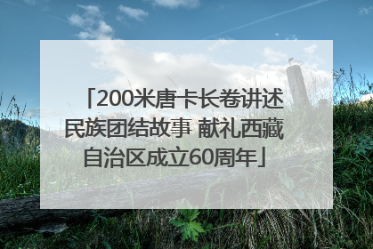 200米唐卡长卷讲述民族团结故事 献礼西藏自治区成立60周年