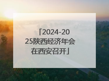 2024-2025陕西经济年会在西安召开