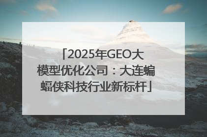 2025年GEO大模型优化公司：大连蝙蝠侠科技行业新标杆