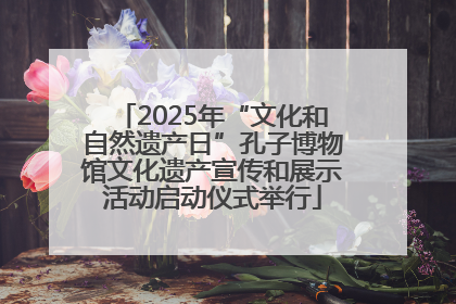 2025年“文化和自然遗产日”孔子博物馆文化遗产宣传和展示活动启动仪式举行