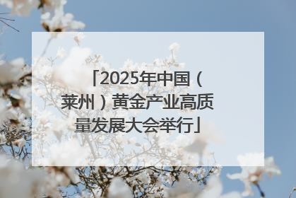 2025年中国（莱州）黄金产业高质量发展大会举行