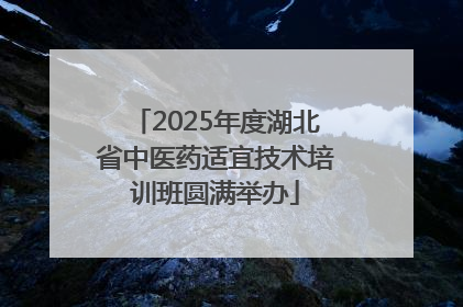 2025年度湖北省中医药适宜技术培训班圆满举办
