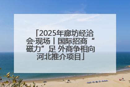 2025年廊坊经洽会·现场丨国际招商“磁力”足 外商争相向河北推介项目