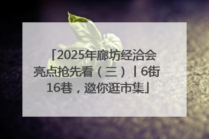 2025年廊坊经洽会亮点抢先看（三）丨6街16巷，邀你逛市集