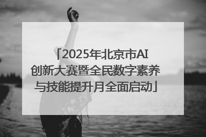 2025年北京市AI创新大赛暨全民数字素养与技能提升月全面启动
