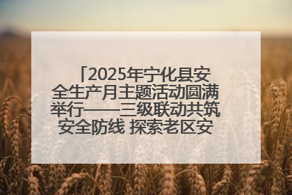 2025年宁化县安全生产月主题活动圆满举行——三级联动共筑安全防线 探索老区安全发展新路径