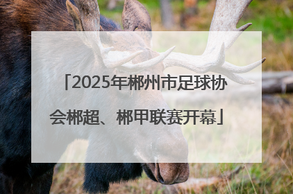 2025年郴州市足球协会郴超、郴甲联赛开幕