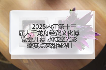 2025内江第十三届大千龙舟经贸文化博览会开幕 水陆空光影盛宴点亮甜城湖