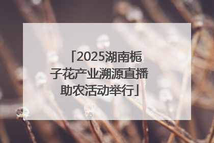 2025湖南栀子花产业溯源直播助农活动举行
