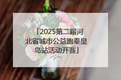 2025第二届河北省城市公益跑秦皇岛站活动开赛
