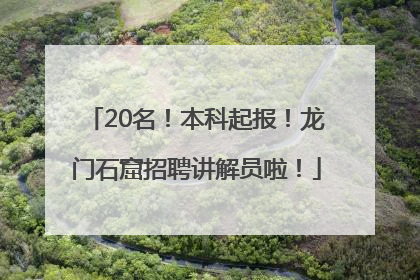 20名！本科起报！龙门石窟招聘讲解员啦！