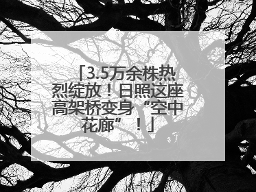 3.5万余株热烈绽放！日照这座高架桥变身“空中花廊”！