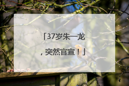 37岁朱一龙，突然官宣！