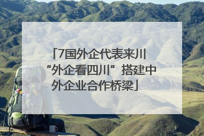 7国外企代表来川 “外企看四川”搭建中外企业合作桥梁