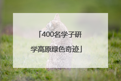 400名学子研学高原绿色奇迹