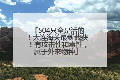 504只全是活的！大连海关最新截获！有攻击性和毒性，属于外来物种