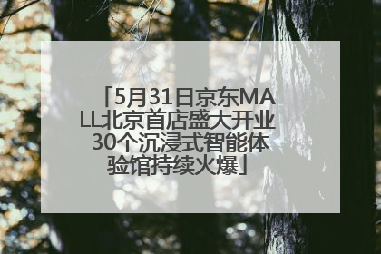 5月31日京东MALL北京首店盛大开业 30个沉浸式智能体验馆持续火爆