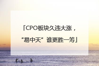 CPO板块久违大涨，“易中天”谁更胜一筹