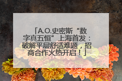 A.O.史密斯“数字真五恒”上海首发：破解平层舒适难题，招商合作火热开启！