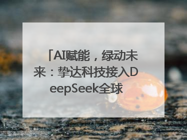 AI赋能，绿动未来：挚达科技接入DeepSeek全球化布局的新篇章