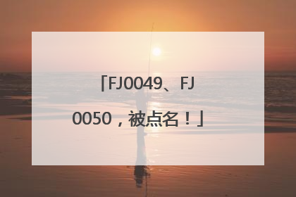 FJ0049、FJ0050，被点名！