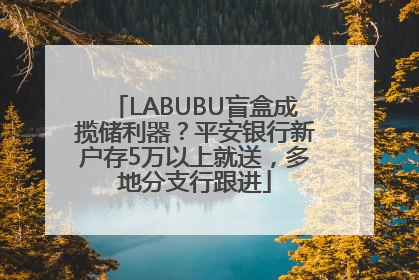 LABUBU盲盒成揽储利器？平安银行新户存5万以上就送，多地分支行跟进